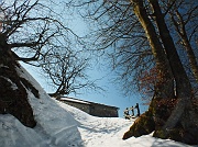 Monte Gugliemo dal sentiero nel Bosco degli Gnomi il 16 marzo 2013  - FOTOGALLERY
